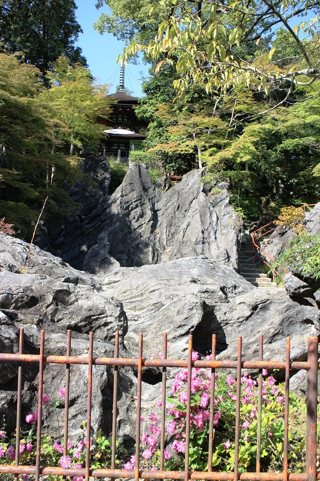 珪灰石